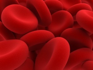 Figure 1: Image of Human Red Blood Cells.